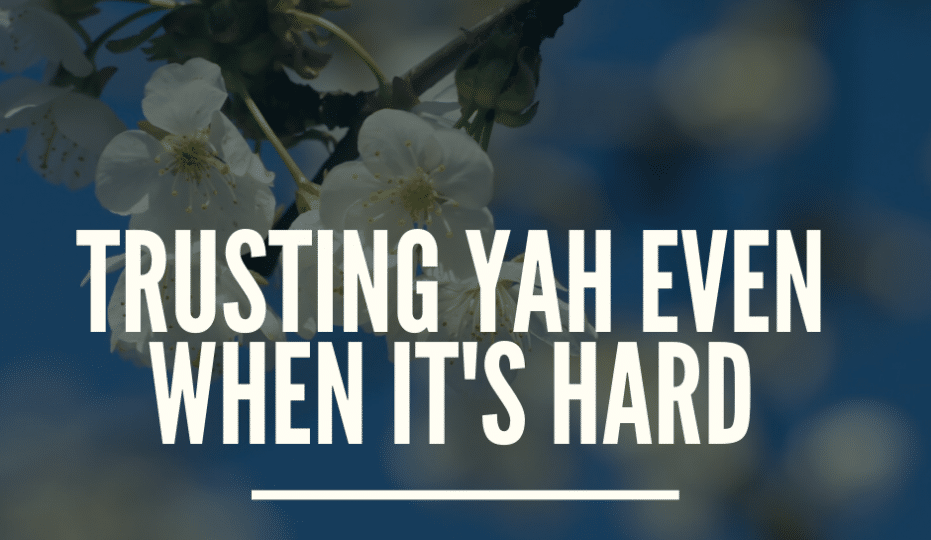 When Trusting Yahuah is Difficult - Blog Post