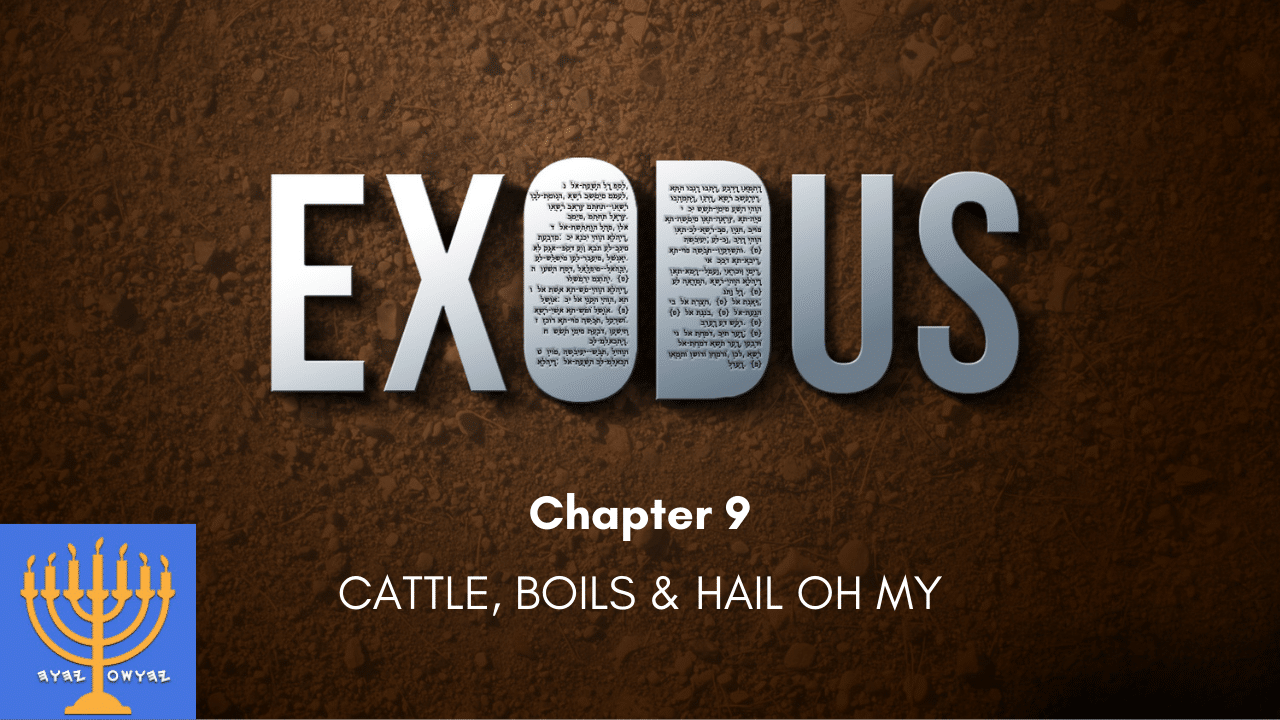 Exodus Chapter 9: Cattle, Boils and Hail—Oh My! - Assembly of Yahuah