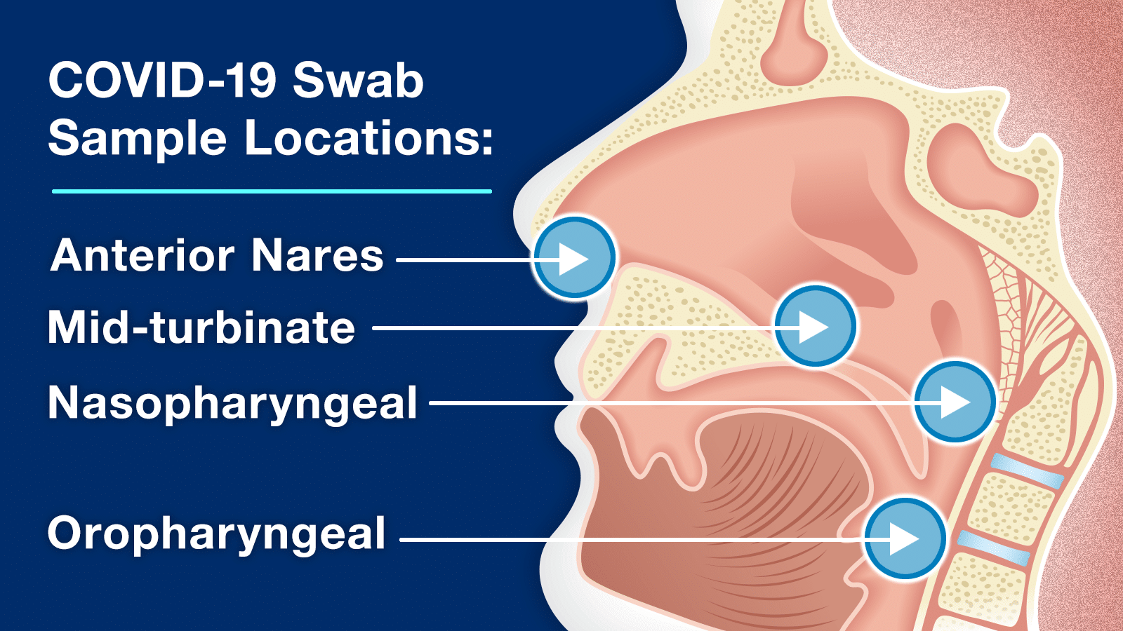 COVID-19-Swab-Testing-Locations Assembly of Yahuah