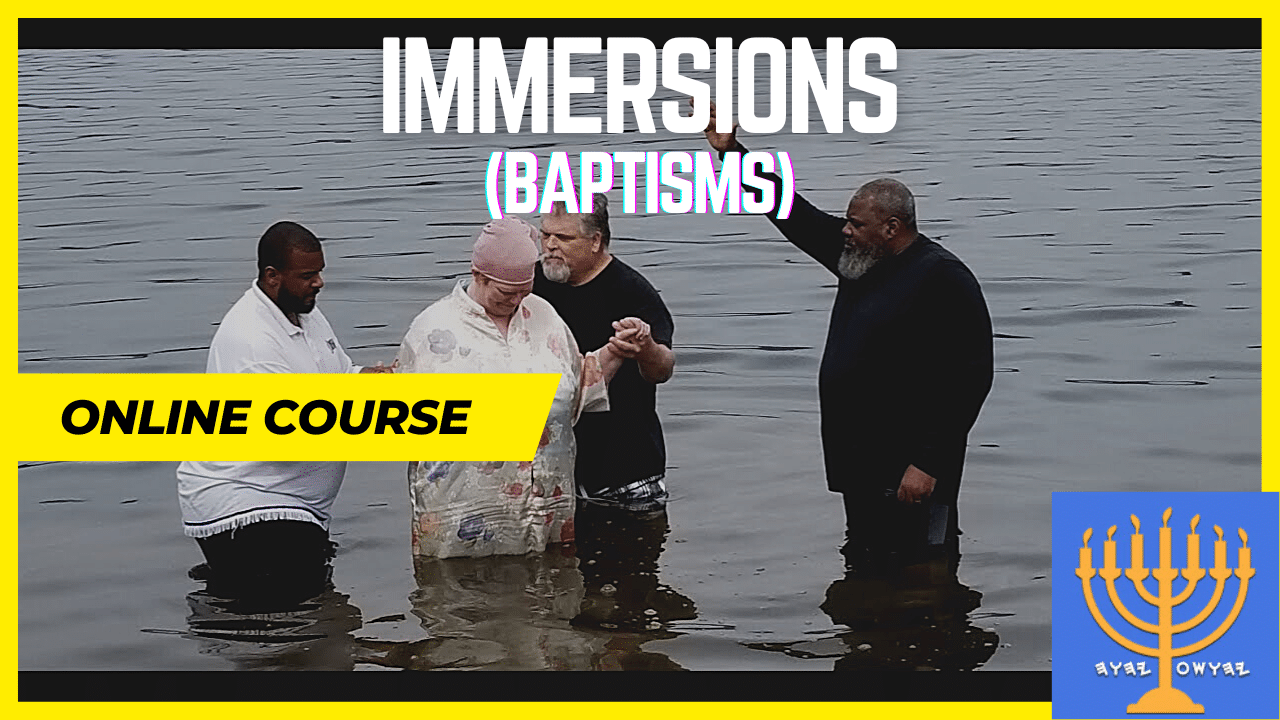 All about Immersions (Baptisms)