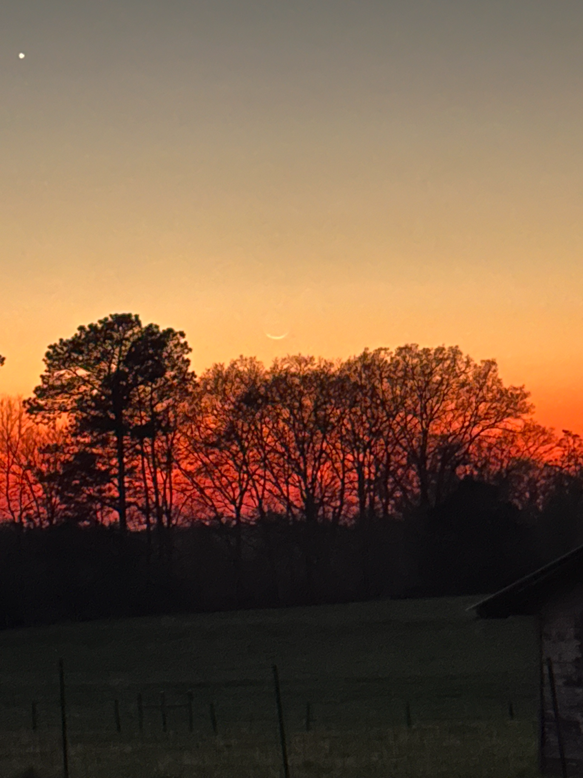 New Moon sighting by Marissa Rogers in Watkinsville, Georgia, USA — March 19, 2026